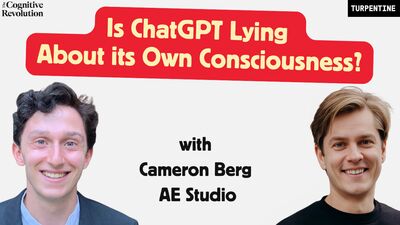 The Cognitive Revolution Podcast